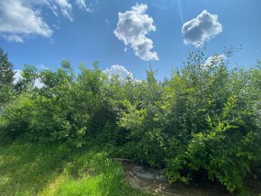 СПК Юбилейный, уч. 9 в Туапсе - tuapse.yutvil.ru - фото 15 СПК Юбилейный, уч. 9 в Туапсе - tuapse.yutvil.ru - фото 15